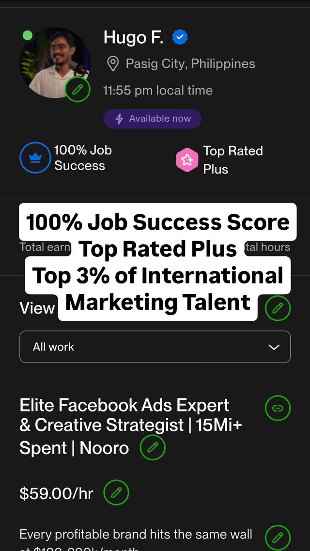 Upwork profile showing 100 percent job success, Top Rated Plus and top 3 percent of international marketing talent